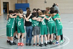 U12-13