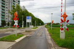 DSC02578-1