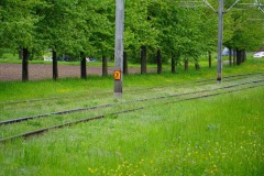 DSC02579-1