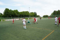 DSC03959