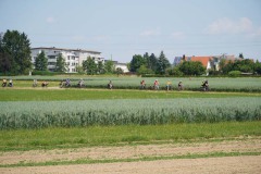 DSC04466