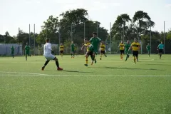 DSC01011
