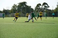 DSC01017