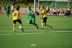 DSC01101