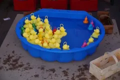 DSC00083