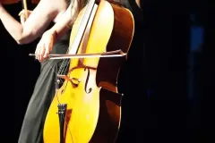 DSC08980