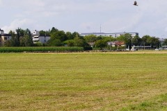 DSC02871