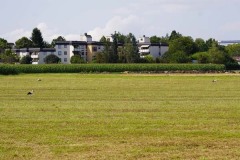 DSC02880