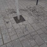 DSC00535