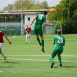 DSC03385